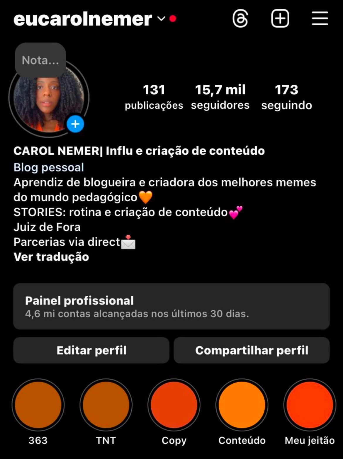 Captura do perfil @eucarolnemer no Instagram com 15,7 mil seguidores.